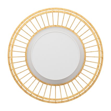 Eglo - LED RGBW Dimbare plafondlamp LED/22W/230V 2700-6500K