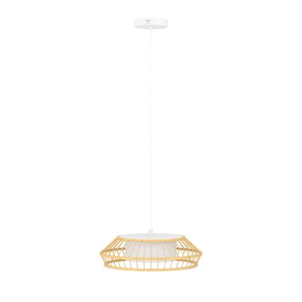 Eglo - LED RGBW Dimbare hanglamp aan een koord LED/22W/230V 2700-6500K