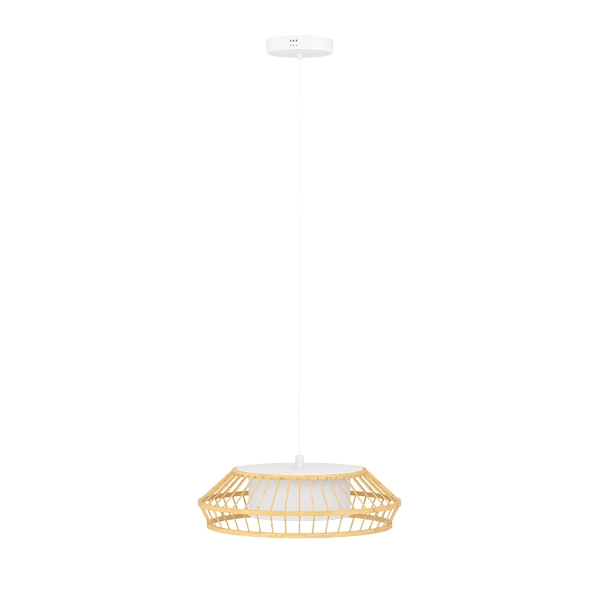 Eglo - LED RGBW Dimbare hanglamp aan een koord LED/22W/230V 2700-6500K