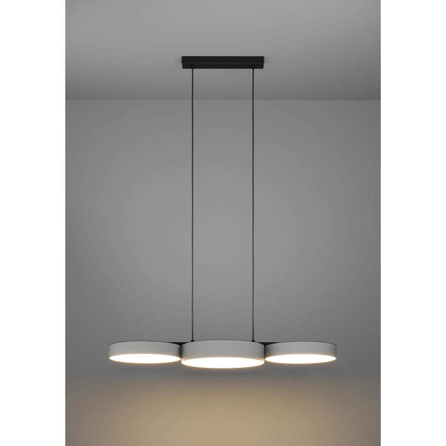 Eglo - LED RGBW Dimbare hanglamp aan een koord 3xLED/7,5W/230V 2700-6500K grijs