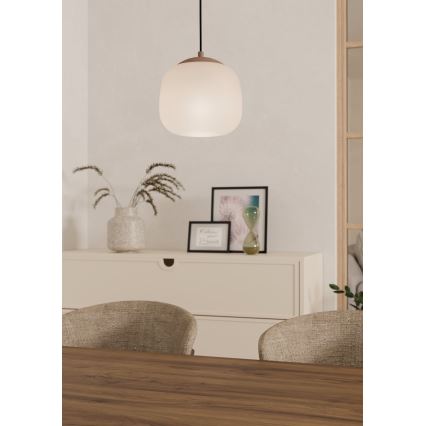 Eglo - Hanglamp aan een koord 1xE27/40W/230V