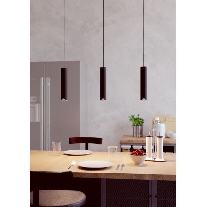 Eglo - LED RGBW Dimbare hanglamp aan een koord 3xLED/3,7W/230V 2700-6500K zwart