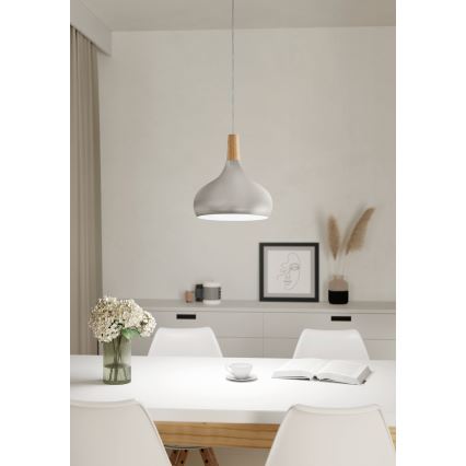 Eglo - Hanglamp aan een koord 1xE27/60W/230V diameter 28 cm zilver