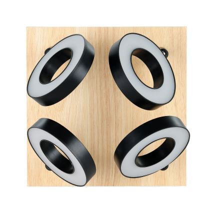 Eglo - LED spot 4xLED/4,2W/230V zwart/bruin