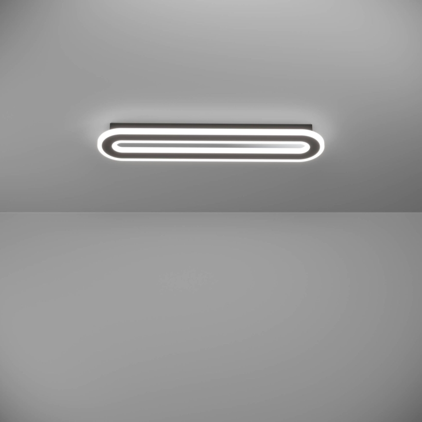 Eglo - Dimbare LED plafondlamp LED/20W/230V 2700-6500K zwart + afstandsbediening