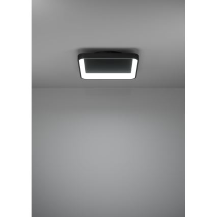 Eglo - Dimbare LED plafondlamp LED/12W/230V 2700-6500K zwart + afstandsbediening