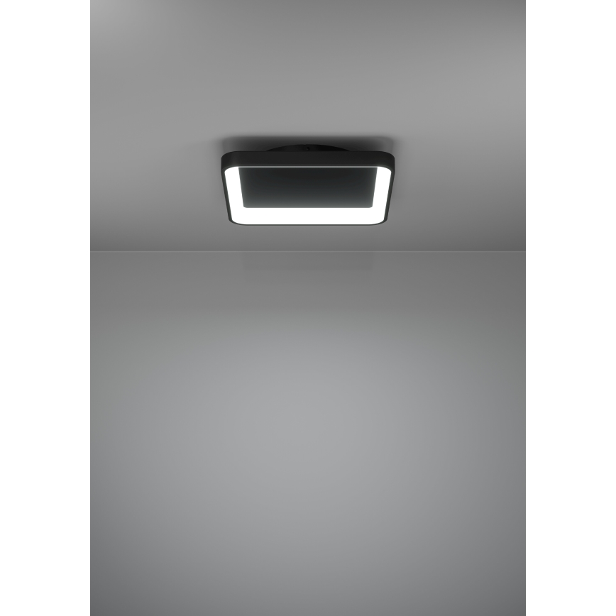 Eglo - Dimbare LED plafondlamp LED/12W/230V 2700-6500K zwart + afstandsbediening