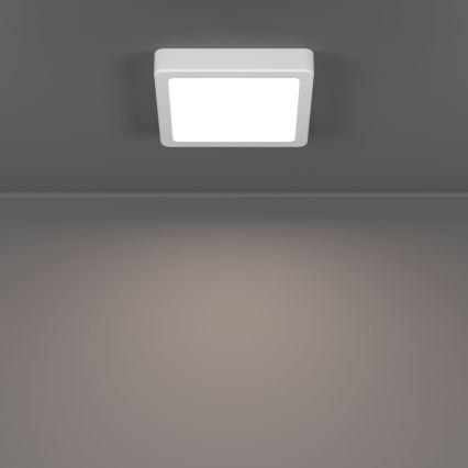 Eglo - LED plafondlamp LED/7W/230V 2700/4000/6500K 15x15 cm wit