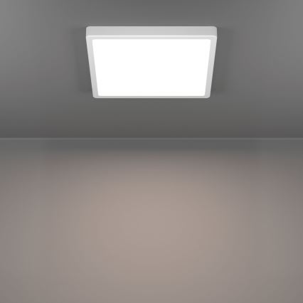 Eglo - LED plafondlamp LED/13W/230V 2700/4000/6500K 29x29 cm wit