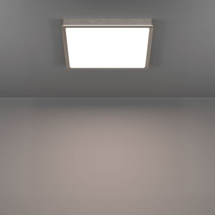 Eglo - LED plafondlamp LED/13W/230V 2700/4000/6500K 29x29 cm mat chroom