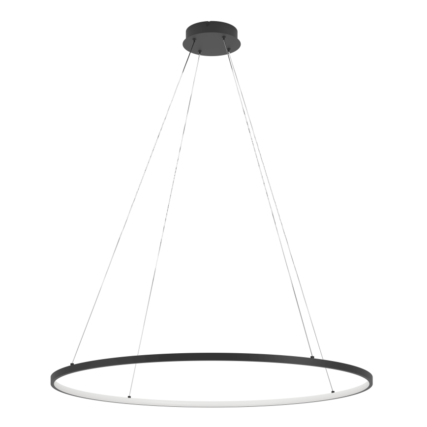 Eglo - Dimbare LED hanglamp aan een koord LED/40W/230V 2700-6500K zwart + afstandsbediening