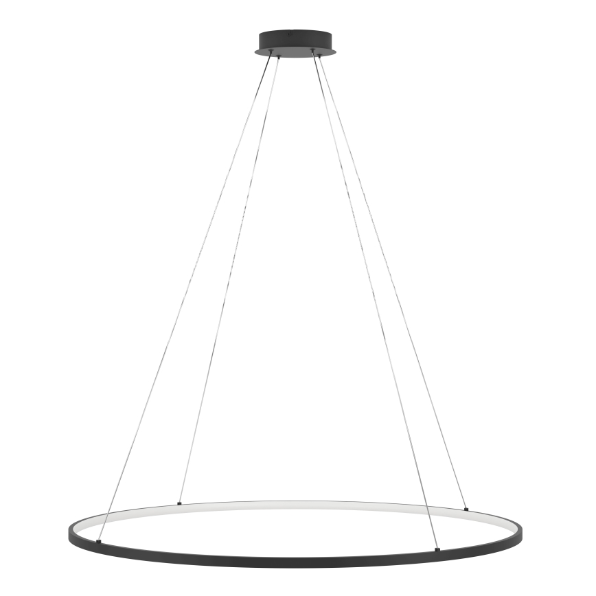 Eglo - Dimbare LED hanglamp aan een koord LED/40W/230V 2700-6500K zwart + afstandsbediening