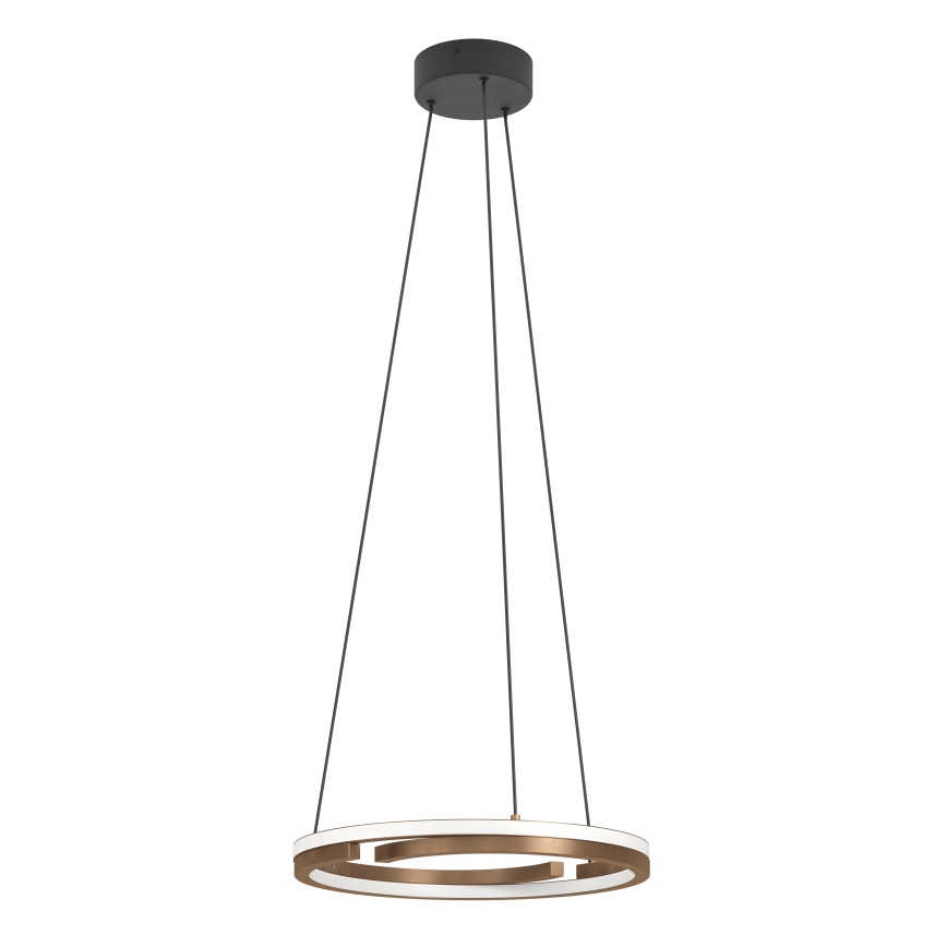 Eglo - LED dimbare hanglamp aan kabel 2xLED/20W/230V 2700-6500K Ø 48 cm bronskleurig + afstandsbediening