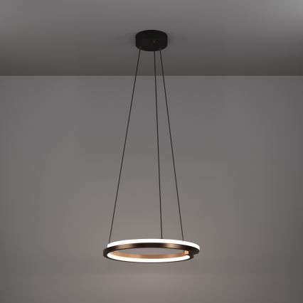 Eglo - LED dimbare hanglamp aan kabel 2xLED/20W/230V 2700-6500K Ø 48 cm bronskleurig + afstandsbediening