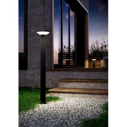 Eglo - LED buitenlamp LED/10W/230V 35 cm IP44 zwart
