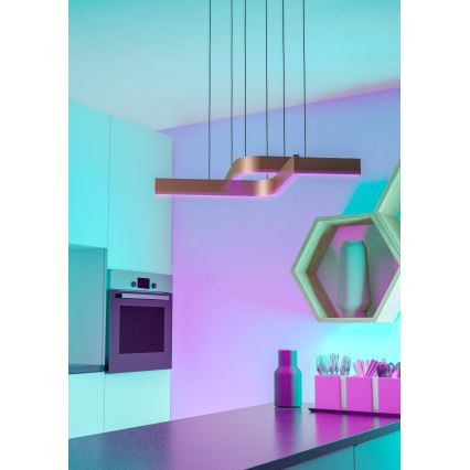 Eglo - Dimbare RGBW LED-hanglamp aan kabel 2xLED/18W/230V koper/zwart