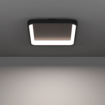 Eglo - Dimbare RGBW LED-plafondlamp LED/20W/230V 2700-6500K 35x35 cm zwart