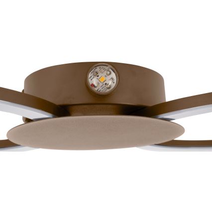 Eglo - LED Wandlamp LED/20W/230V + LED/0,91W beige