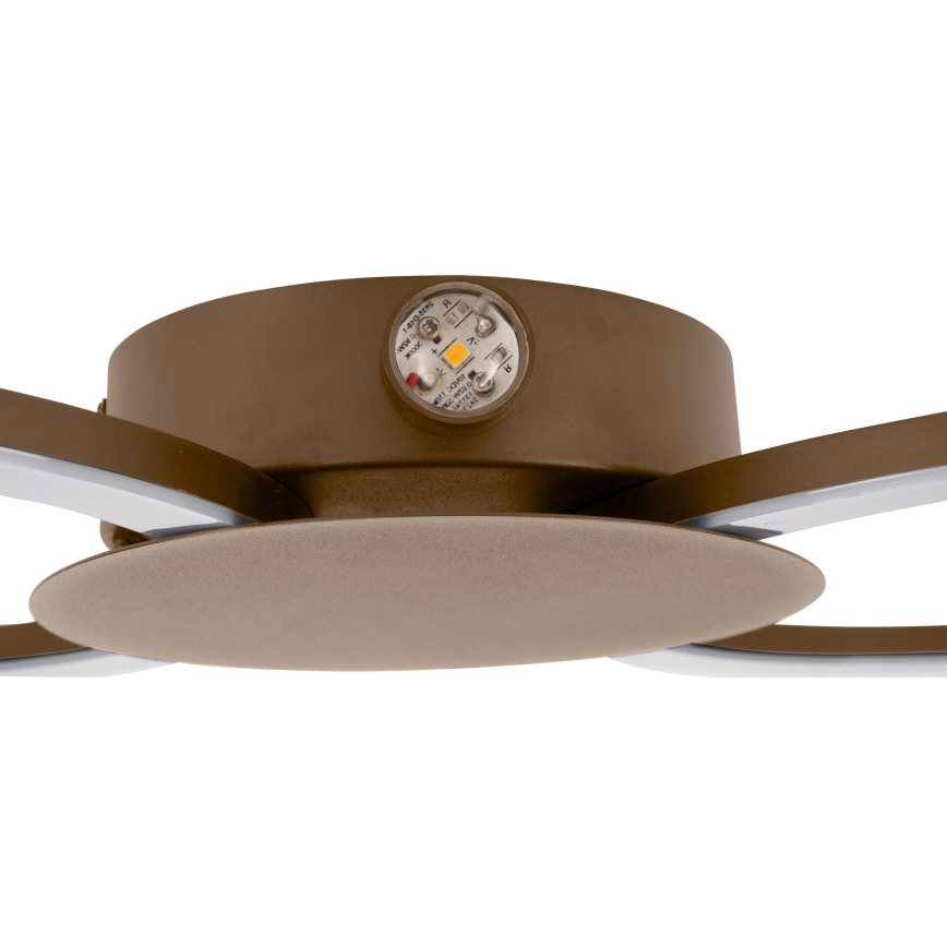 Eglo - LED Wandlamp LED/20W/230V + LED/0,91W beige