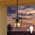 Eglo 93406 - LED buitenlamp ALORIA 1xE27/8,5W/230V IP44