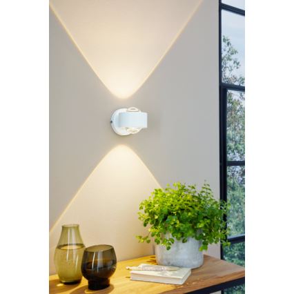 Eglo - LED Wandlamp 2xLED/2,5W/230V