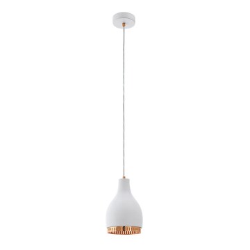 Eglo 96871 - Hanglamp COCNO 1xE27/60W/230V wit