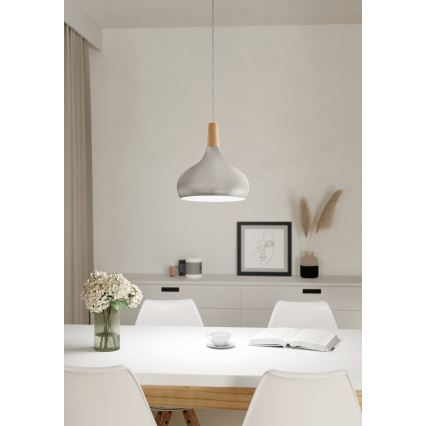 Eglo - Hanglamp 1xE27/60W/230V 280mm zilver