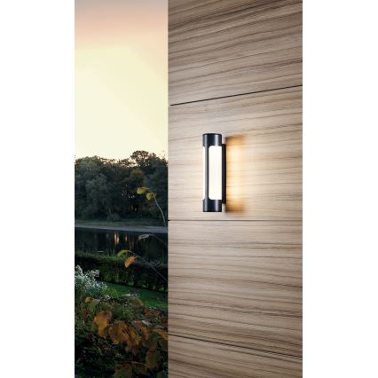 Eglo - LED Wandlamp voor buiten 2xLED/6W/230V IP44