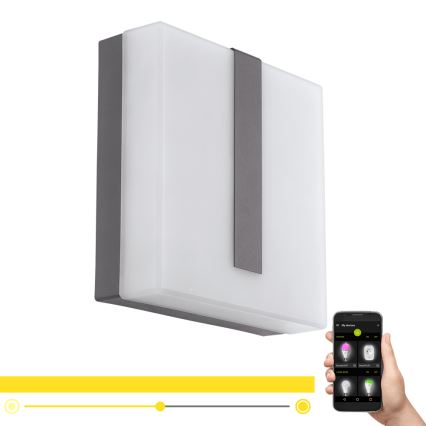 Eglo - LED Dimbare Buitenwandlamp TORAZZA-C LED/14W/230V IP44