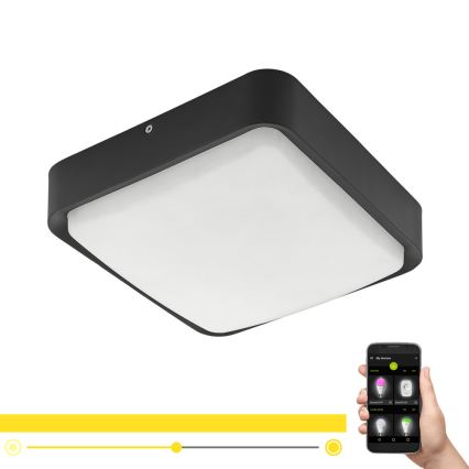 Eglo - LED Badkamer plafonnière dimbaar PIOVE-C LED/14,6W/230V