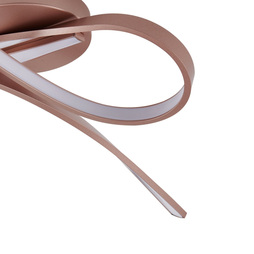 Eglo - LED Plafondlamp 2xLED/11W/230V