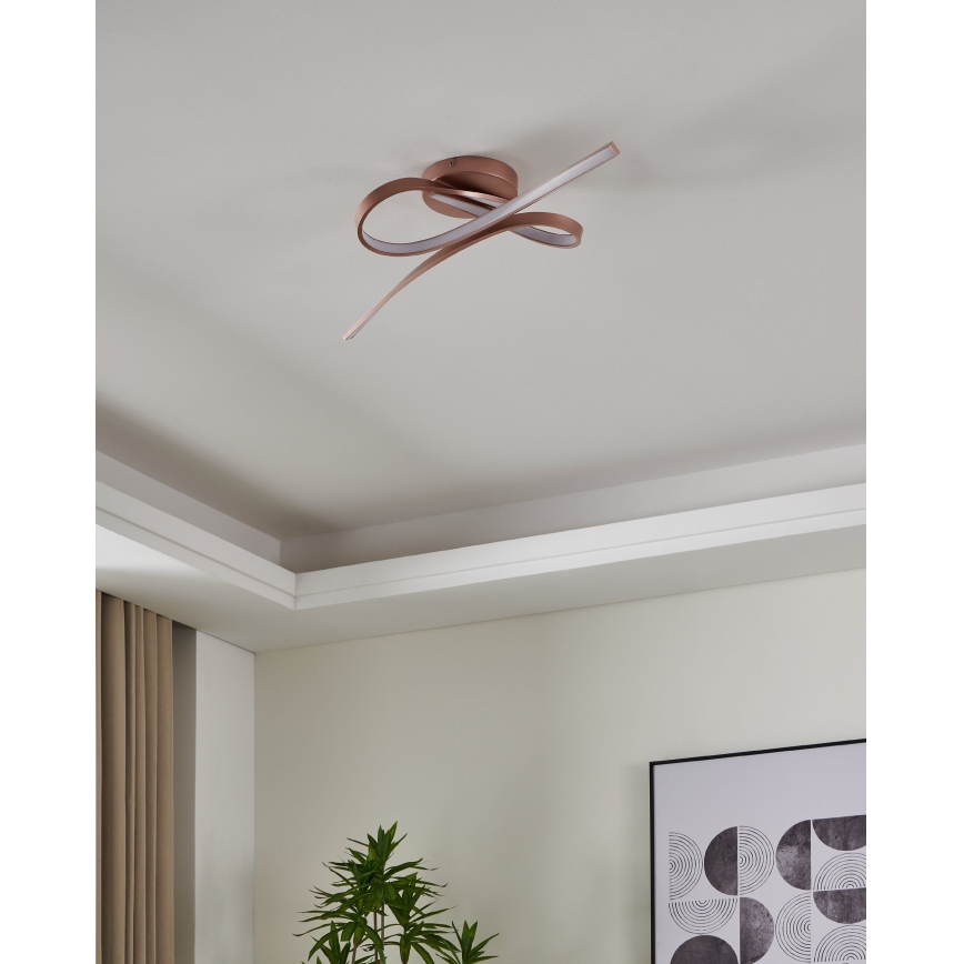 Eglo - LED Plafondlamp 2xLED/11W/230V