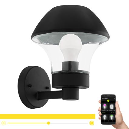 Eglo 97446 - LED Buiten wandlamp dimbaar VERLUCCA-C 1xE27/9W/230V IP44 Bluetooth