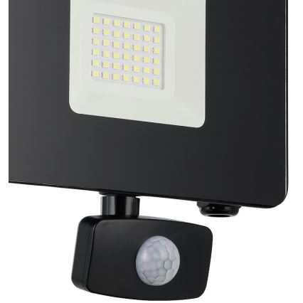 Eglo - LED Schijnwerper met sensor LED/30W/230V IP44