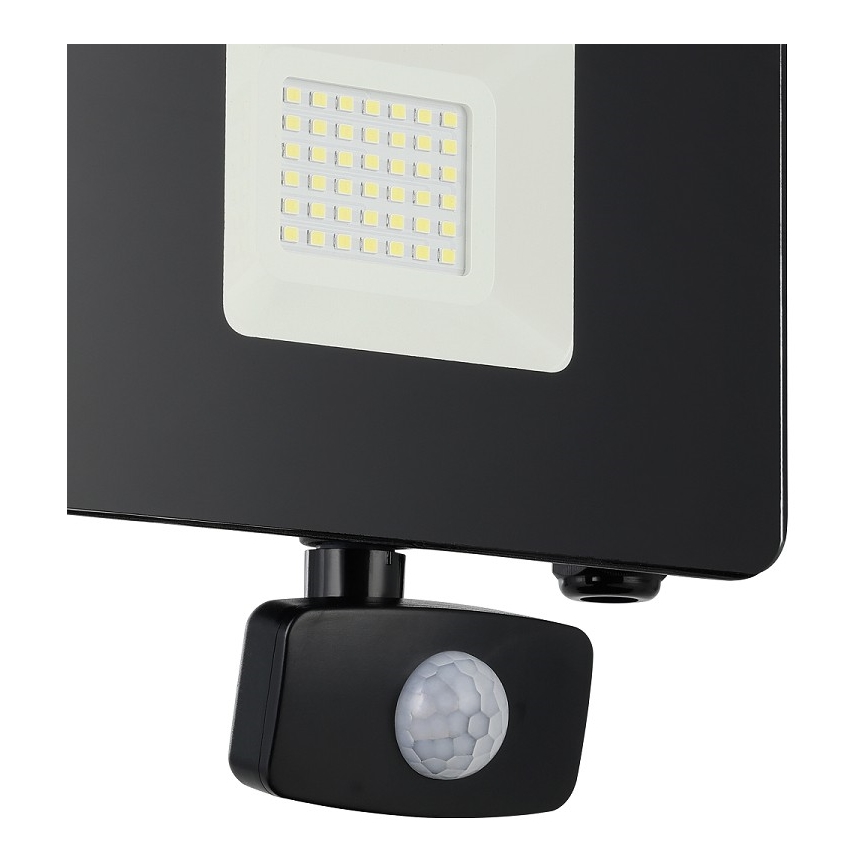 Eglo - LED Schijnwerper met sensor LED/30W/230V IP44