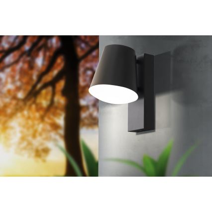 Eglo 97482 - LED Buiten wandlamp dimbaar CALDIERO-C 1xE27/9W/230V IP44