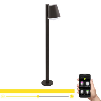 Eglo - LED RGB Dimbaar buitenshuis lamp CALDIERO-C 1xE27/9W/230V antraciet IP44