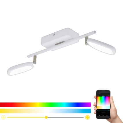 Eglo 97692 - LED RGB Inbouwspot PALOMBARE-C 2xLED/5W/230V