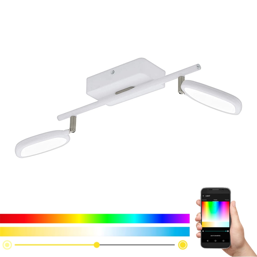 Eglo 97692 - LED RGB Inbouwspot PALOMBARE-C 2xLED/5W/230V