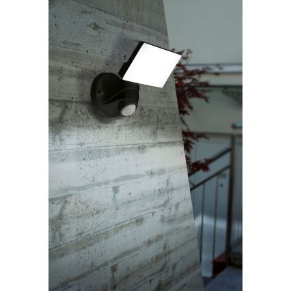 Eglo - LED Wandlamp voor buiten met sensor LED/15W/230V IP44