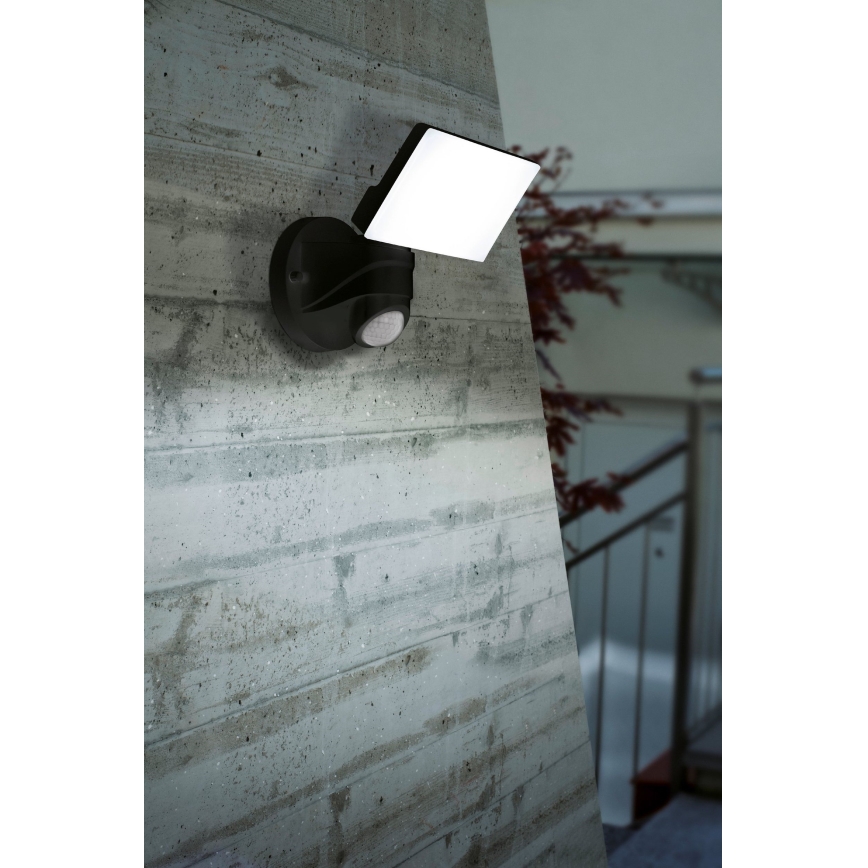 Eglo - LED Wandlamp voor buiten met sensor LED/15W/230V IP44