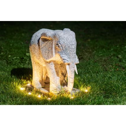 Eglo - LED buiten-decoratiesnoer, 9 LED, 10 m, IP65, warm wit