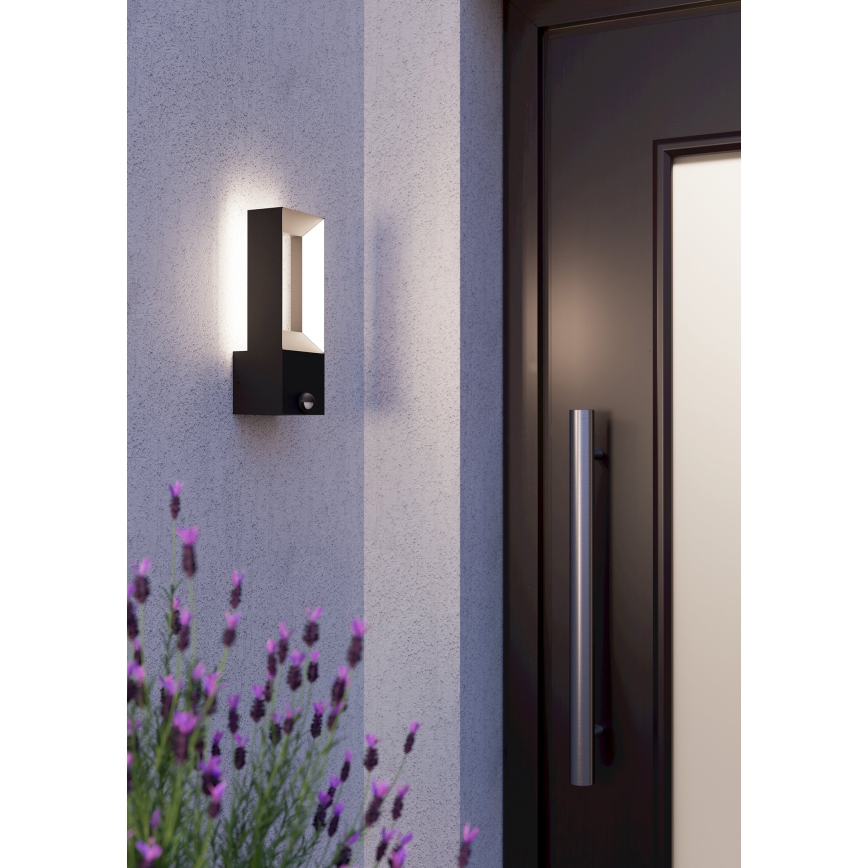 Eglo - LED Lamp voor Buiten met Sensor 2xLED/5W/230V IP44