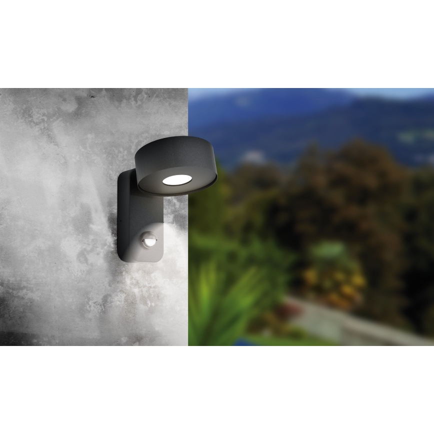 Eglo - LED Buitenwandlamp met sensor LED/6W/230V IP44