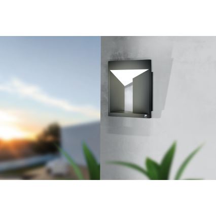 Eglo - LED Wandlamp voor buiten LED/10W/230V IP54