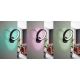 Eglo - Dimbare LED RGB Wand Lamp MARGHERA-C LED/16W/230V