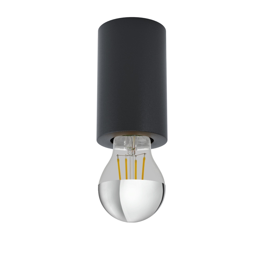 Eglo - Plafondlamp 1xE27/40W/230V