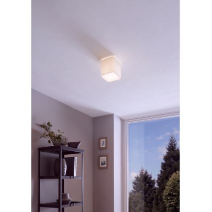 Eglo - Plafondlamp 1xE27/28W/230V