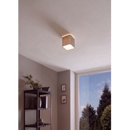 Eglo - Plafondlamp 1xE27/28W/230V