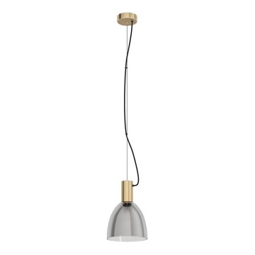Eglo 99313 - Hanglamp aan kabel LEBALIO 1xE27/40W/230V